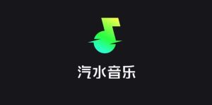 汽水音乐电脑版下载歌曲失败怎么办？操作指南